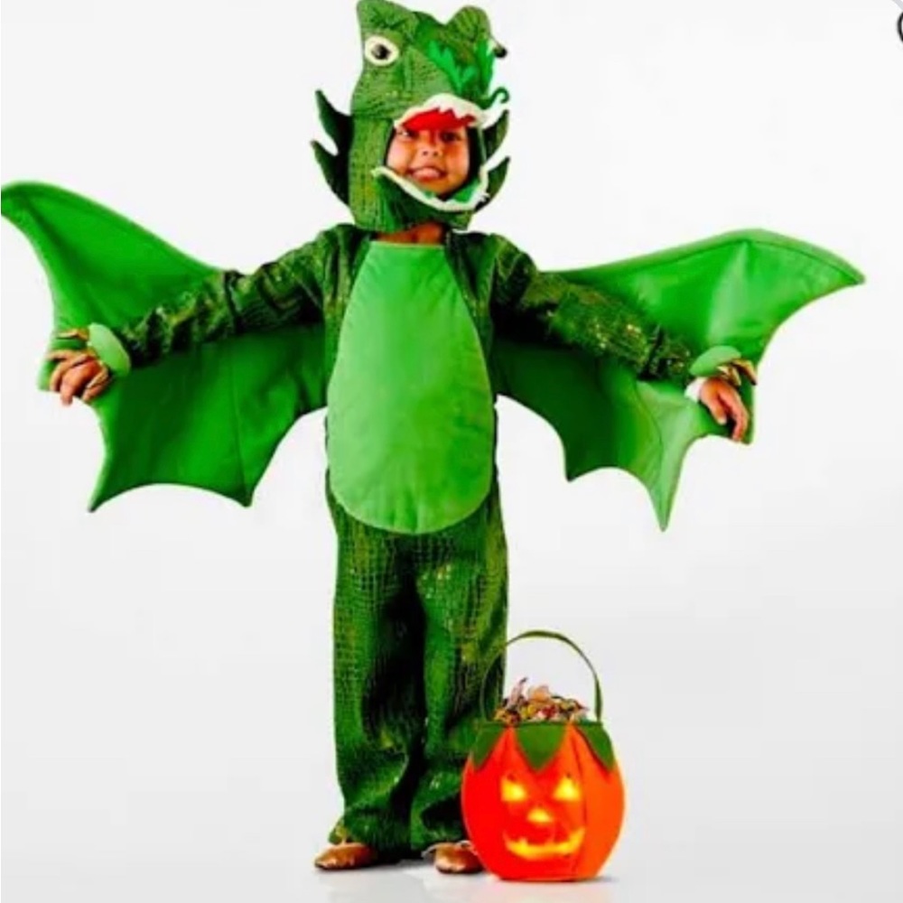 Pottery barn kids dragon costume